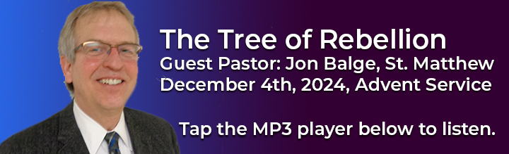 12-4-2024-Advent-Message-Tree-of-Rebellion-Jon-Balge-V2t.jpg