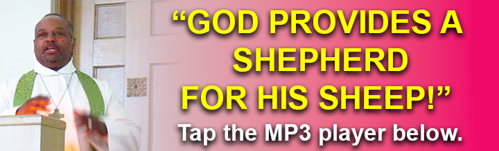 7-21-2024-GOD-PROVIDES-A-SHEPHERD-FOR-HIS-SHEEP.jpg